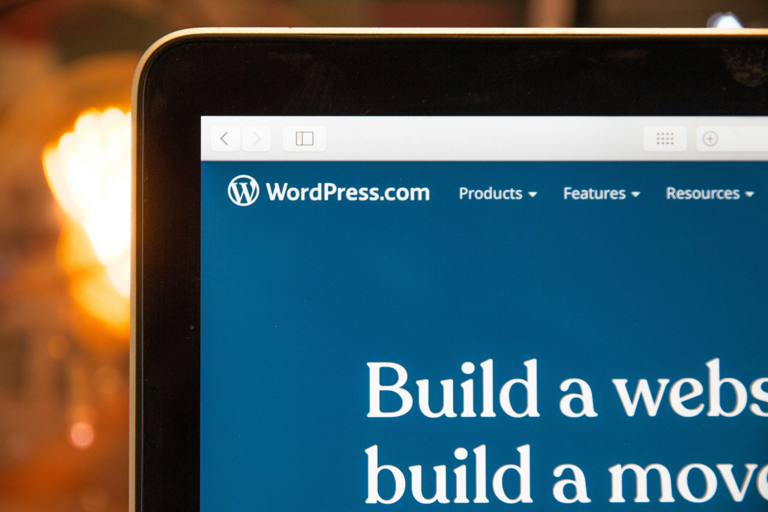 WordPress fotoğrafı