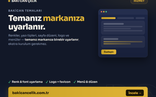 Tema Özelleştirme — BakiCan hizmet görseli