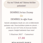 Görsel 9